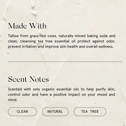 Tea Tree Deodorant